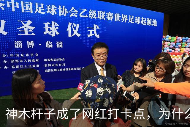 神木杆子成了网红打卡点，为什么要围起来？